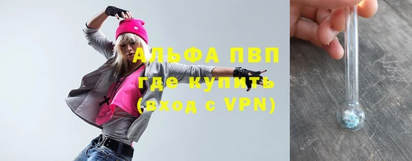 PSILOCYBIN Иннополис