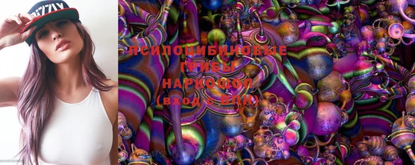 a pvp Инсар