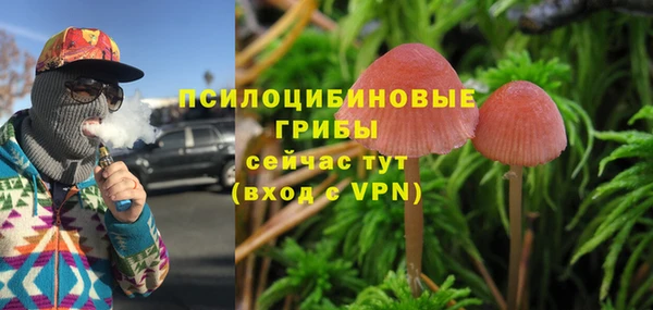 PSILOCYBIN Иннополис