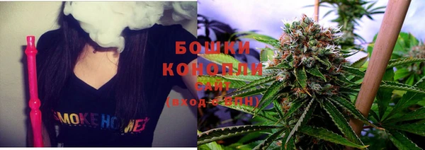 PSILOCYBIN Иннополис