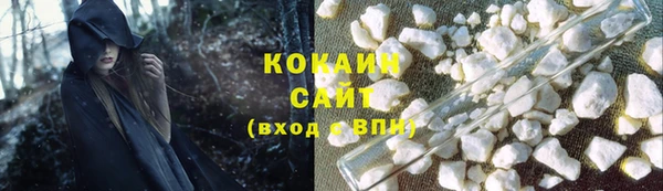 PSILOCYBIN Иннополис