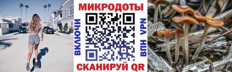 Купить закладки  Чебаркуль  Псилоцибиновые грибы Psilocybine cubensis 