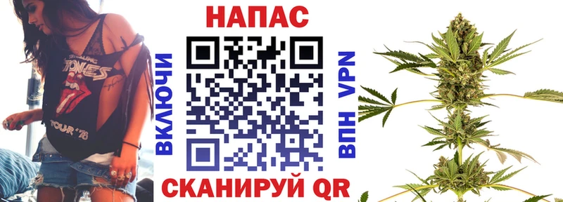 Шишки марихуана SATIVA & INDICA  Купить  Чебаркуль 